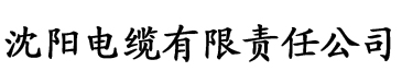 新快猫成人电缆厂logo